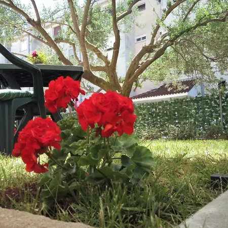 Apartament Niko Zadar